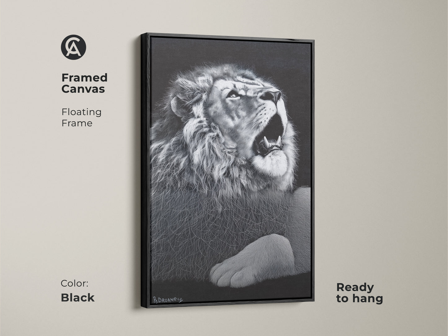 Black framed monochrome lion canvas. This floating framed wildlife decor is ready to hang. It's suited for a contemporary bedroom or office. The powerful animal art is perfect for a gallery wall.