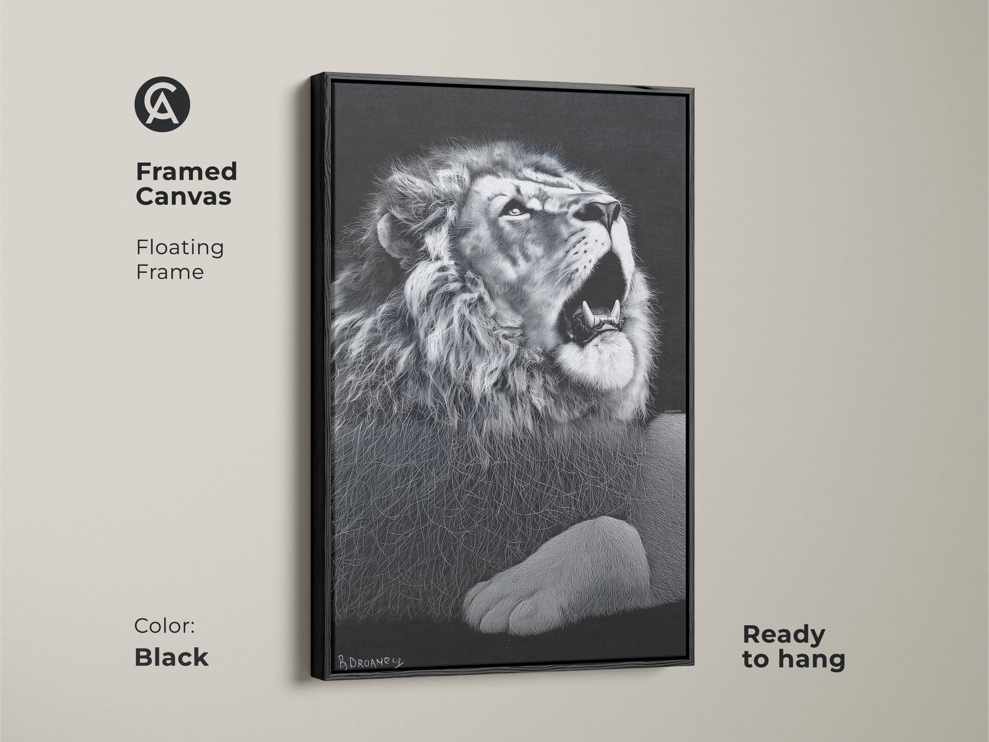 Black framed monochrome lion canvas. This floating framed wildlife decor is ready to hang. It's suited for a contemporary bedroom or office. The powerful animal art is perfect for a gallery wall.