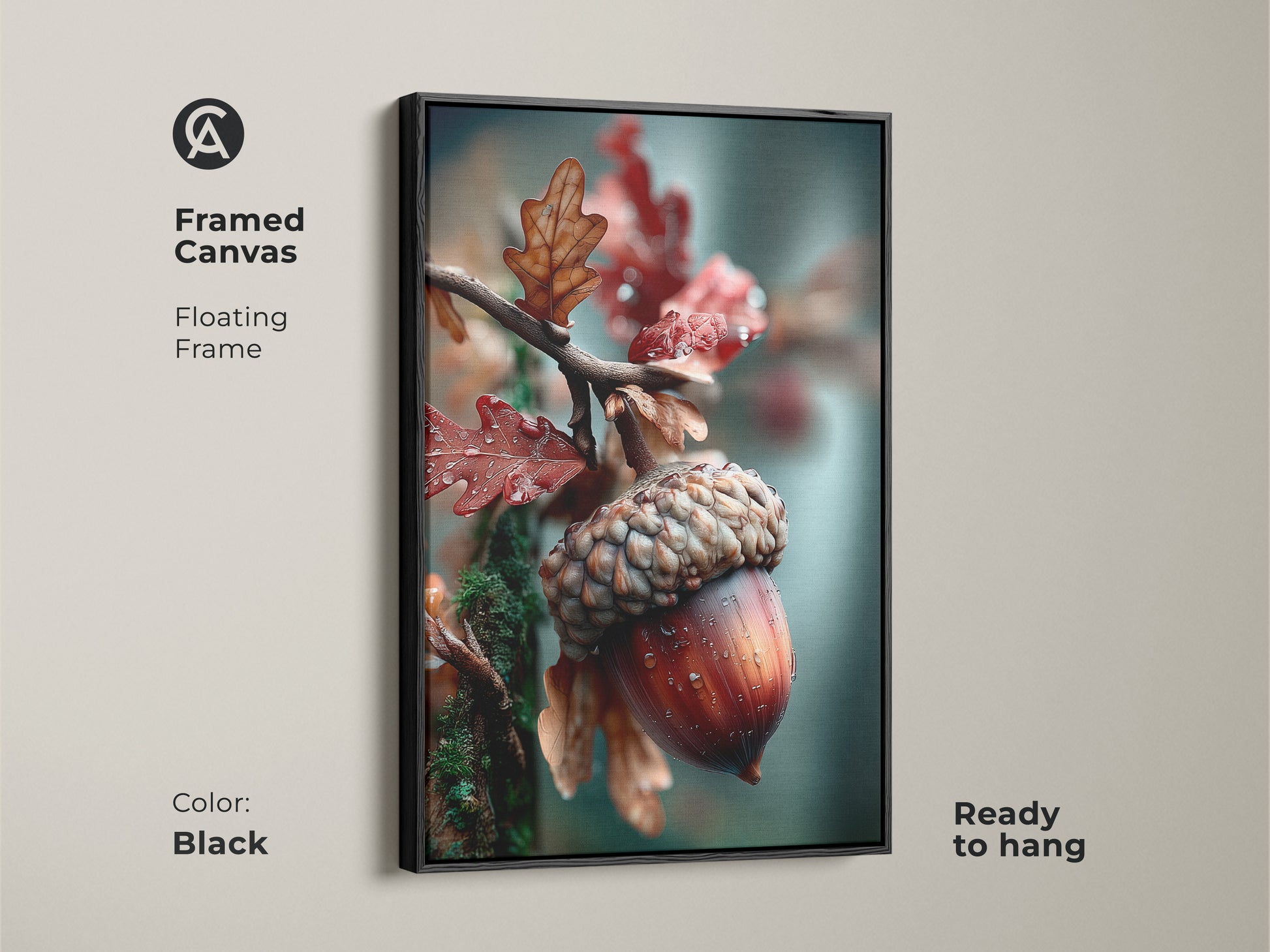 Framed canvas art of an acorn with leaves. This floating frame is black. The acorn art is ready to hang. Perfect for adding a touch of nature to your living space. The black frame enhances the artwork.