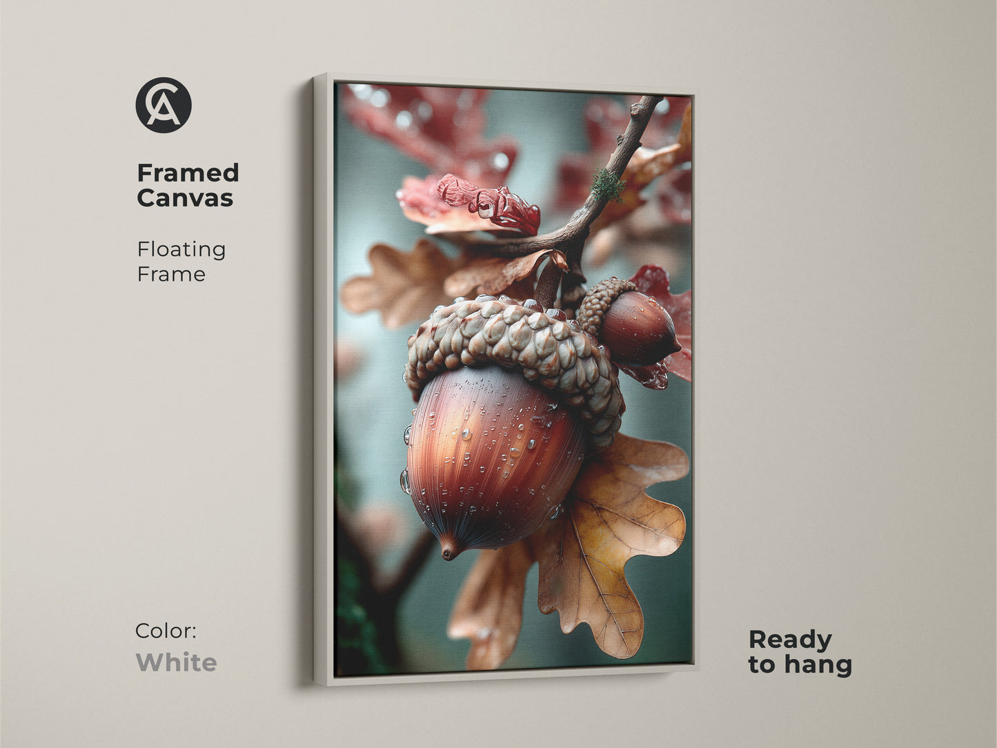 Framed canvas art showcasing an acorn in a white floating frame. The clean white frame highlights the natural subject. This ready-to-hang artwork is a fresh addition to any room. The detailed art complements any decor.