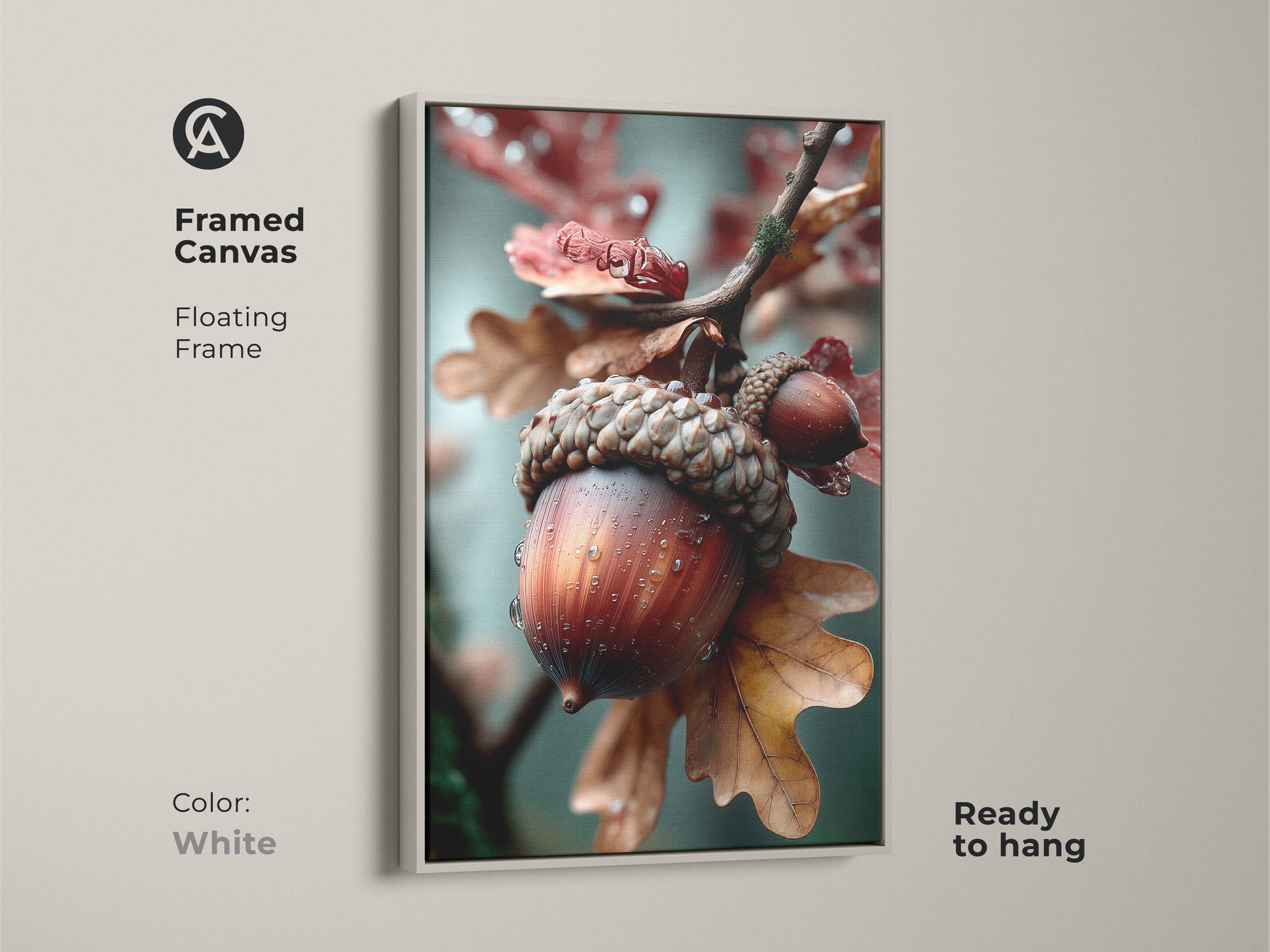 Framed canvas art showcasing an acorn in a white floating frame. The clean white frame highlights the natural subject. This ready-to-hang artwork is a fresh addition to any room. The detailed art complements any decor.