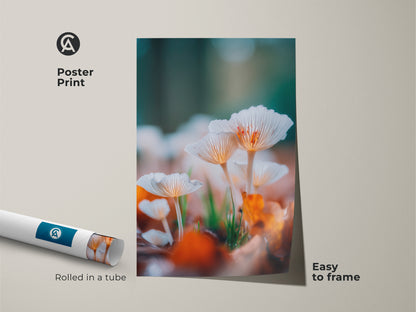 Mushroom art poster print. This print features a captivating photograph of white mushrooms. The poster is rolled in a tube for easy framing. Add a touch of nature's beauty to your walls with this affordable art.