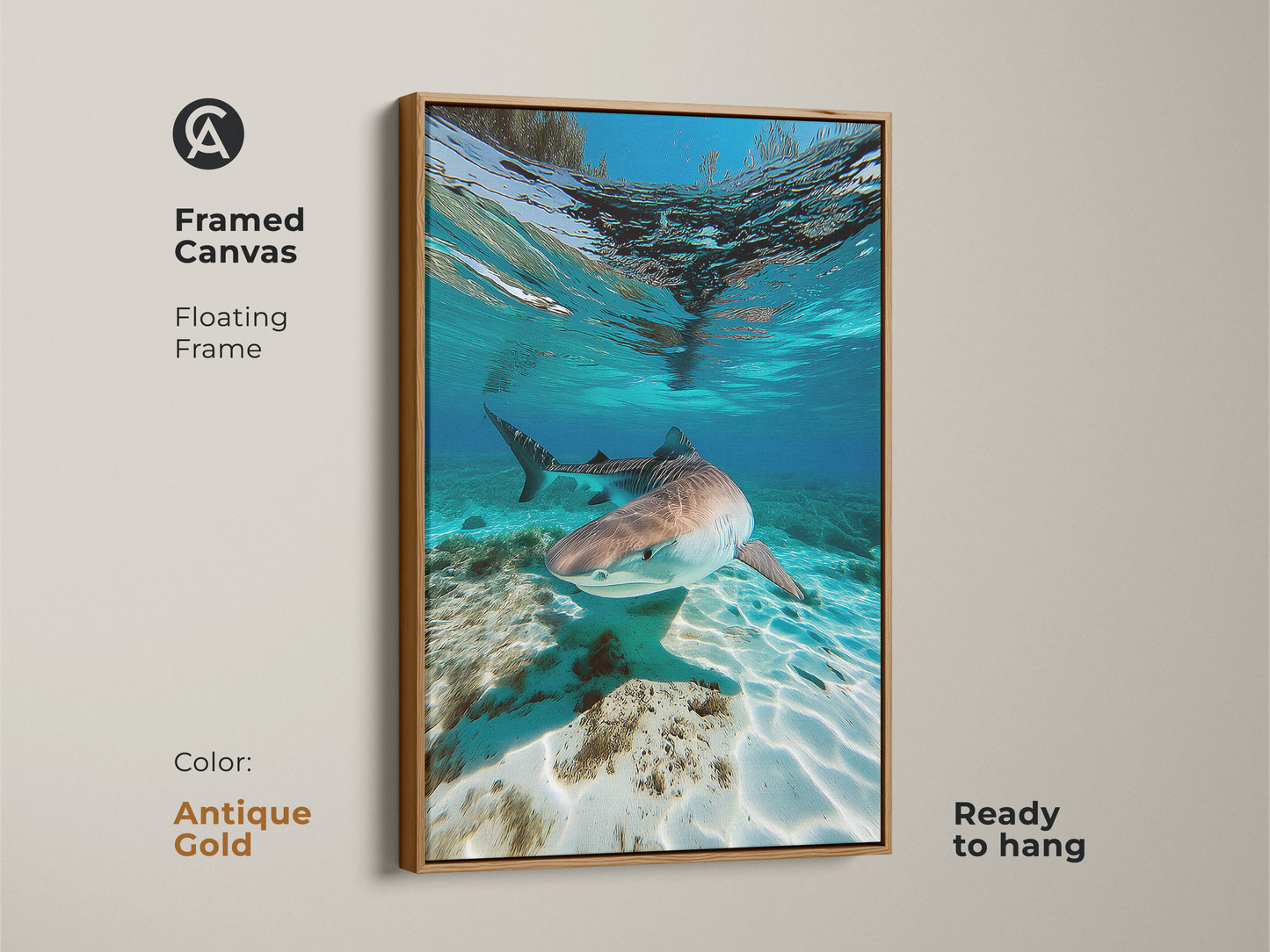 Framed canvas art of an underwater Tiger Shark in an antique gold floating frame. This coastal wildlife artwork shows a shark swimming in deep blue waters. Ready to hang this ocean photography art is perfect for nautical decor and those who appreciate marine biology.