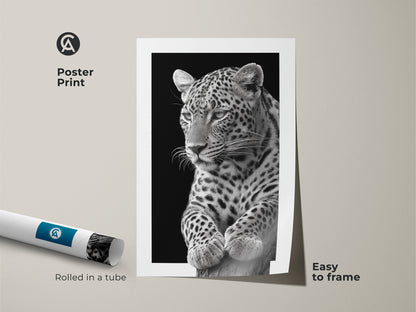 Monochrome leopard photo art print poster rolled in a tube. This black and white animal canvas is easy to frame. The realistic leopard wall decor offers modern wildlife art for your home. Order now!