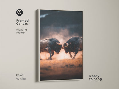 White framed canvas print featuring two bulls clashing horns. This floating frame offers a clean look. The art is ready to hang. It brings a dynamic focal point to your wall. View our framed art selection.