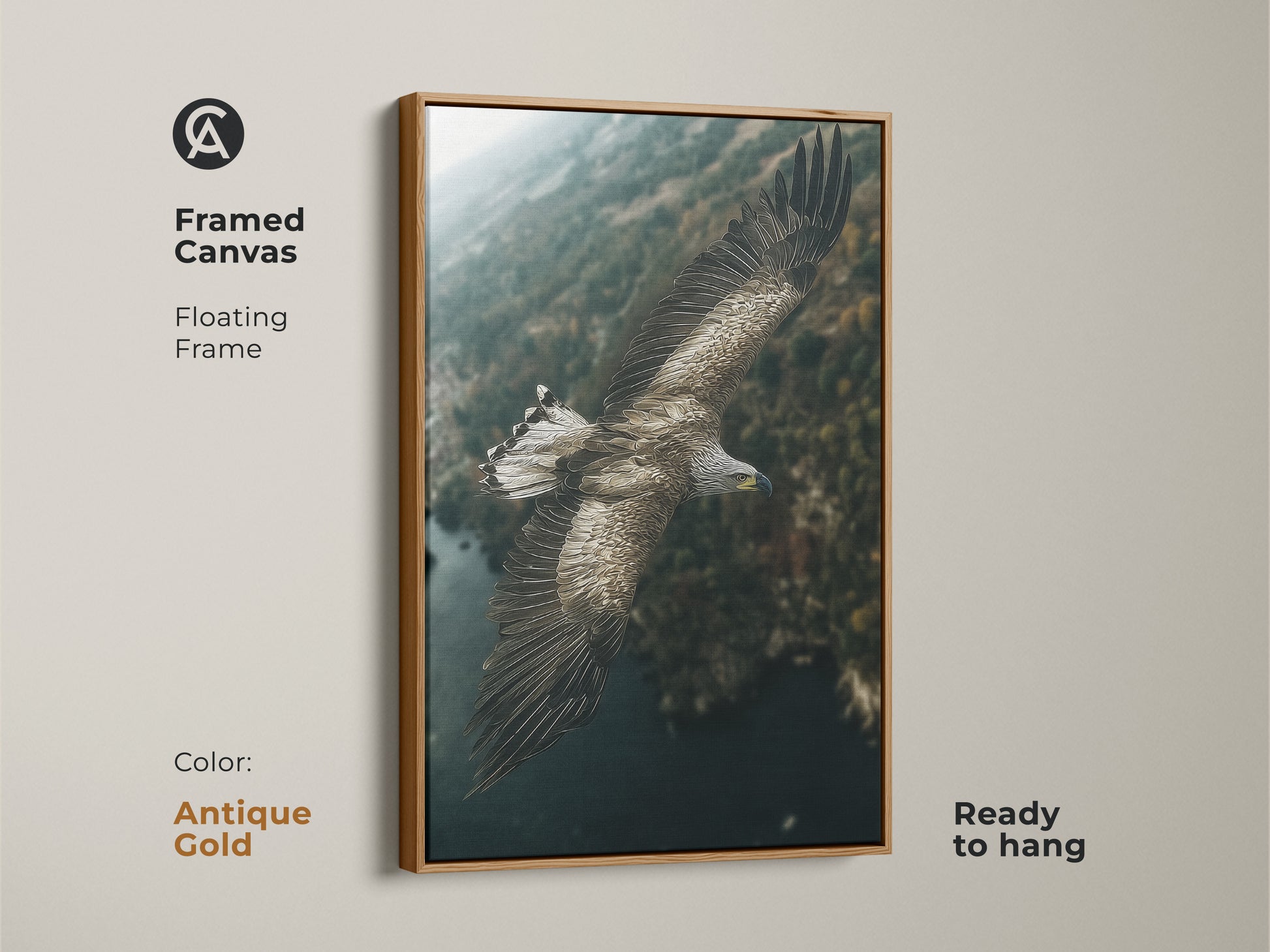 Framed canvas print of an eagle in flight with an antique gold floating frame. This wildlife canvas art adds a touch of rustic elegance to any room. The earthy tones and forest landscape create a captivating scene. Perfect for bird and nature lovers.
