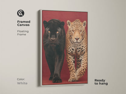 A framed canvas showing a black panther and jaguar with a white floating frame. This contemporary wildlife animal artwork is ready to hang. This striking animal theme art print adds elegance to any wall. It's perfect for animal lovers. Showcase this fine art animal print today