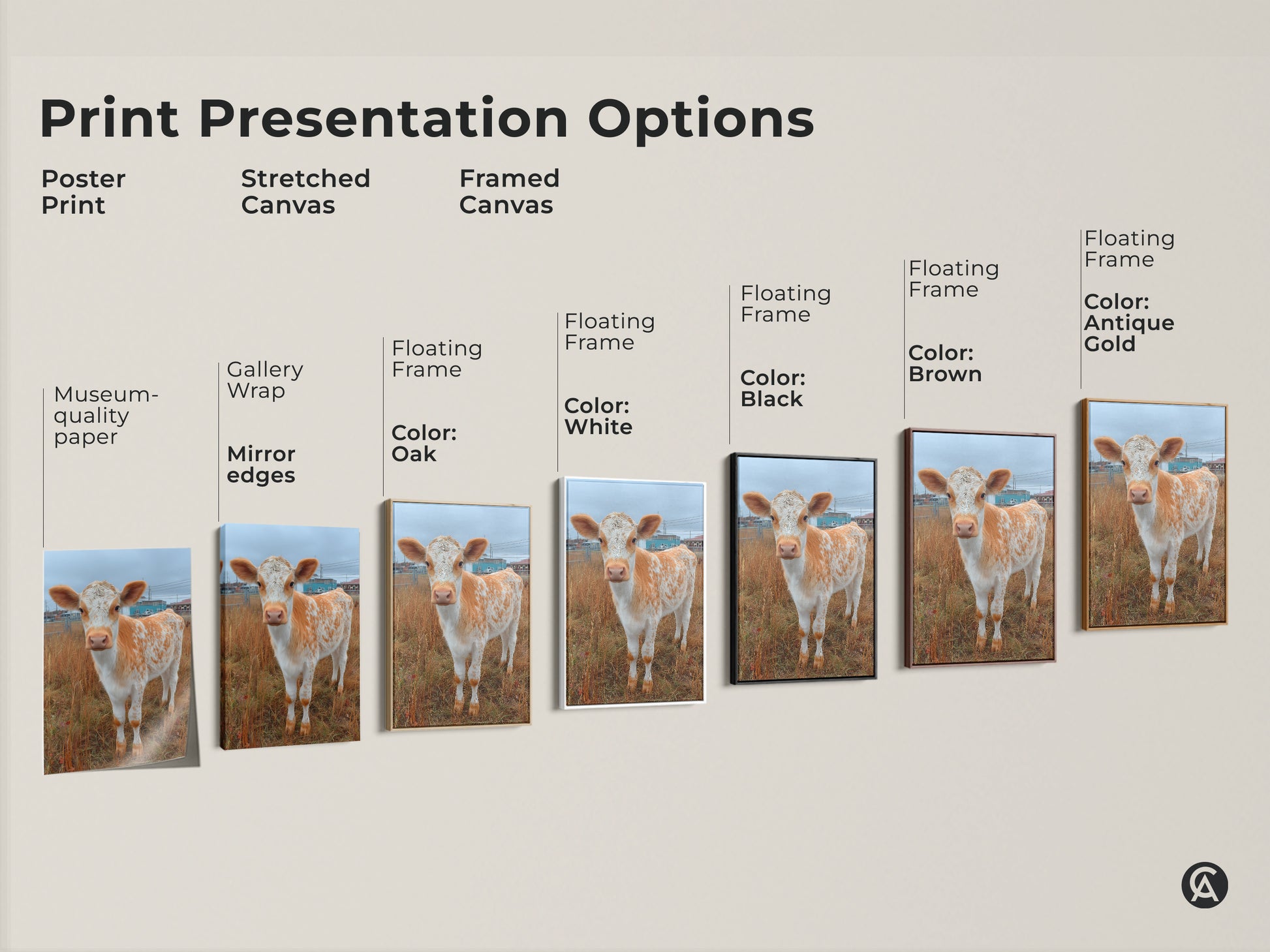 Explore print presentation options for Holstein calf art. Choose from poster prints stretched canvas and framed canvas. Customize your wall art with floating frame colors. Find the perfect artwork for your home.