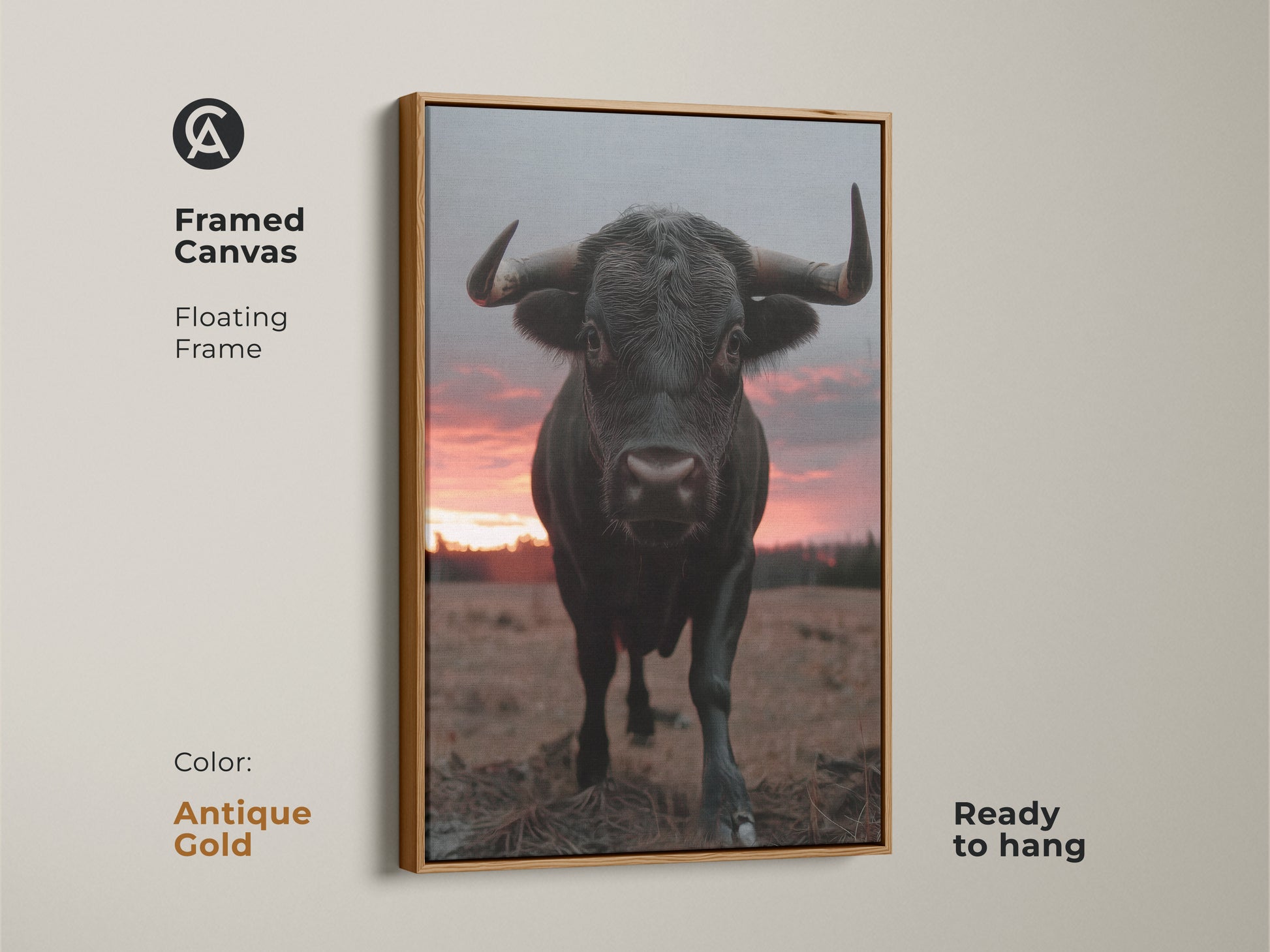 Framed canvas of a black bull with a floating frame. Ready to hang in antique gold color. The wildlife sunset art adds a touch of nature. Perfect home decor bull art for any room.