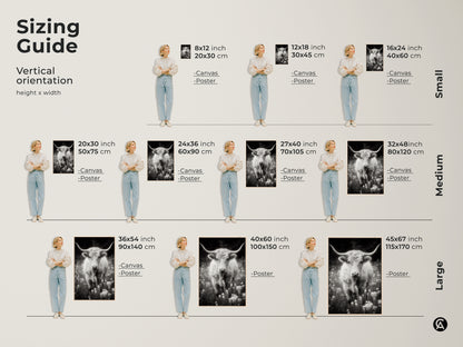 Sizing guide for longhorn canvas and poster prints. Vertical orientation options include small medium and large sizes. Select the perfect size for your space. Each artwork showcases a black and white photograph.