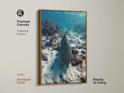 Framed canvas with antique gold floating frame featuring underwater shark artwork. This photorealistic ocean print showcases a shark swimming above a coral reef. The antique gold frame complements the deep blue and sandy beige tones of this wildlife photography print. Ready to hang.