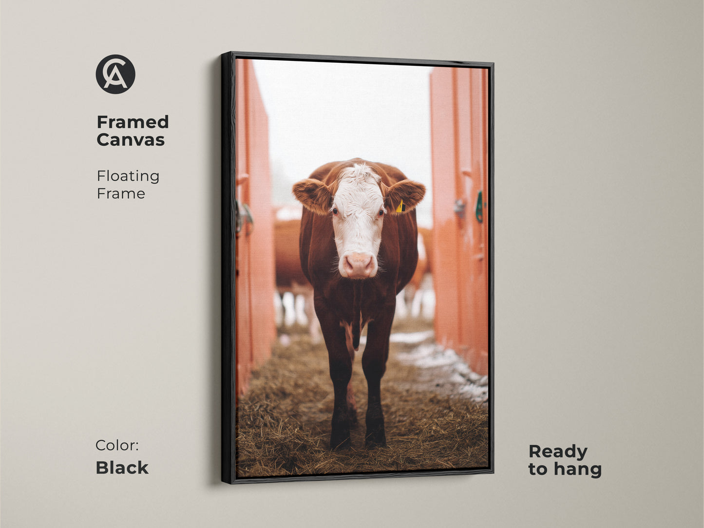 Framed canvas of a farmhouse cow artwork with a floating black frame. Ready to hang brown and white farm animal art adds charm to any room. This piece is perfect for rustic home decor.