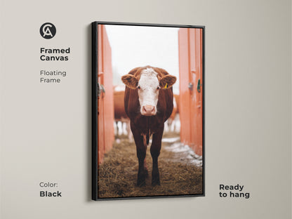 Framed canvas of a farmhouse cow artwork with a floating black frame. Ready to hang brown and white farm animal art adds charm to any room. This piece is perfect for rustic home decor.