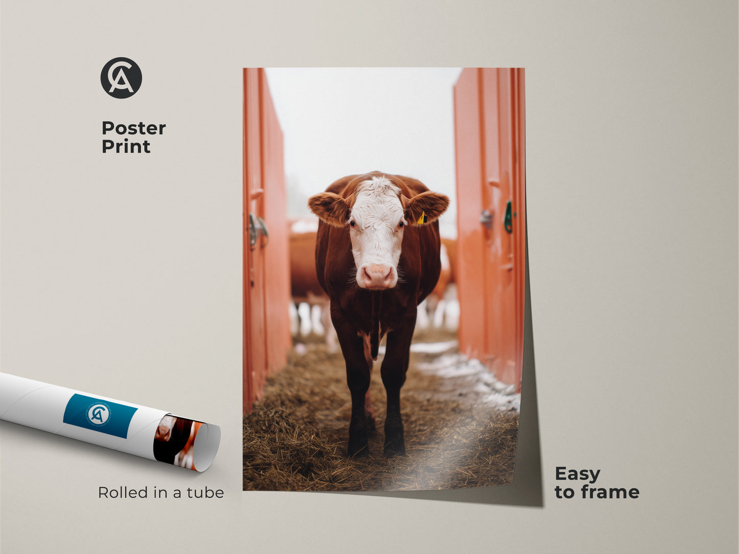 Rustic farmhouse cow poster print rolled in a tube. Brown and white animal artwork is easy to frame. Ideal for country home kitchens or living rooms. This is a great housewarming gift.