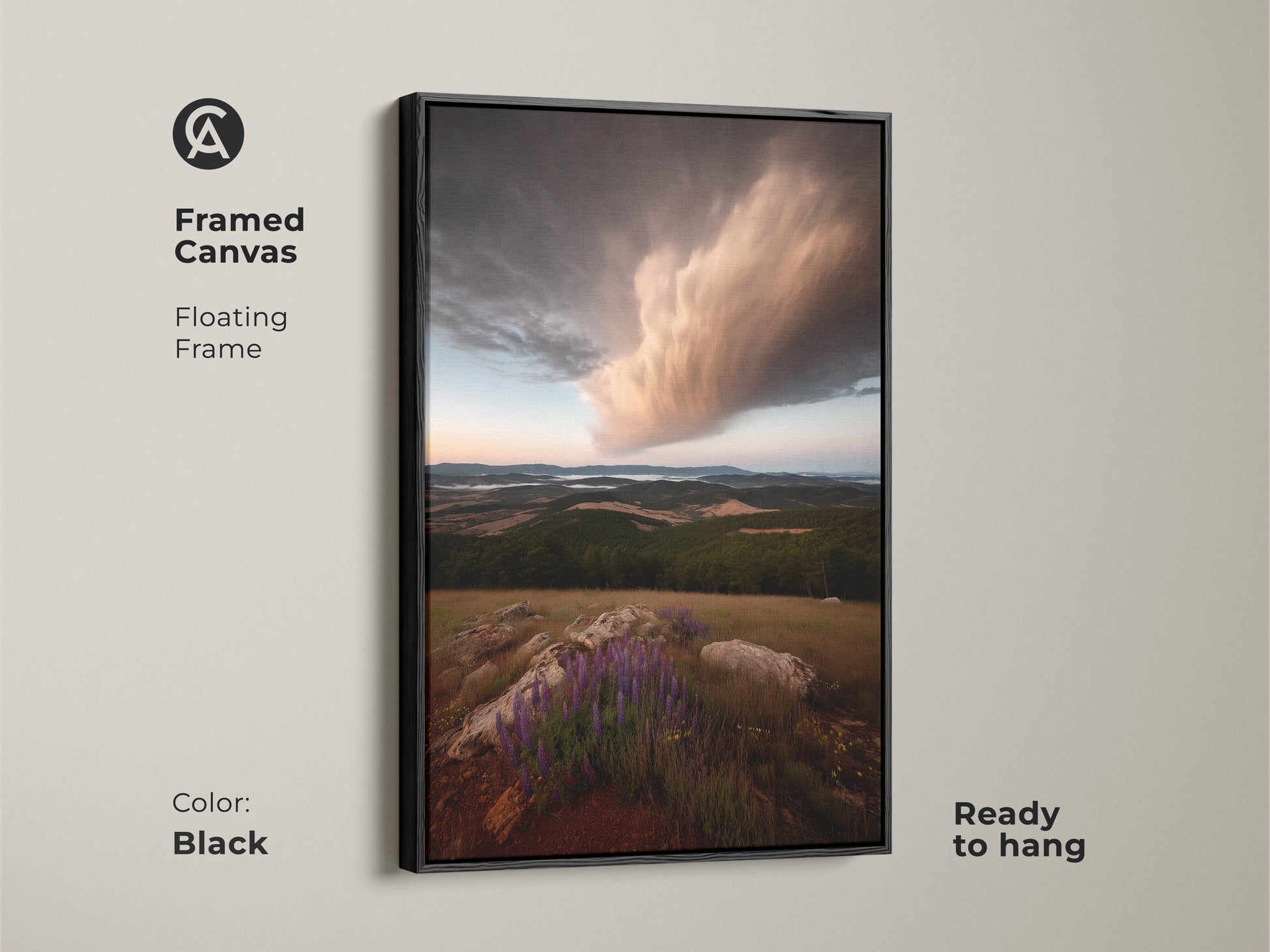 Framed canvas art features a photorealistic storm cloud and wildflower field. The floating black frame adds modern elegance. Ready to hang. Perfect as farmhouse wall decor. This blue brown nature artwork enhances any room.