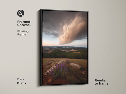 Framed canvas art features a photorealistic storm cloud and wildflower field. The floating black frame adds modern elegance. Ready to hang. Perfect as farmhouse wall decor. This blue brown nature artwork enhances any room.