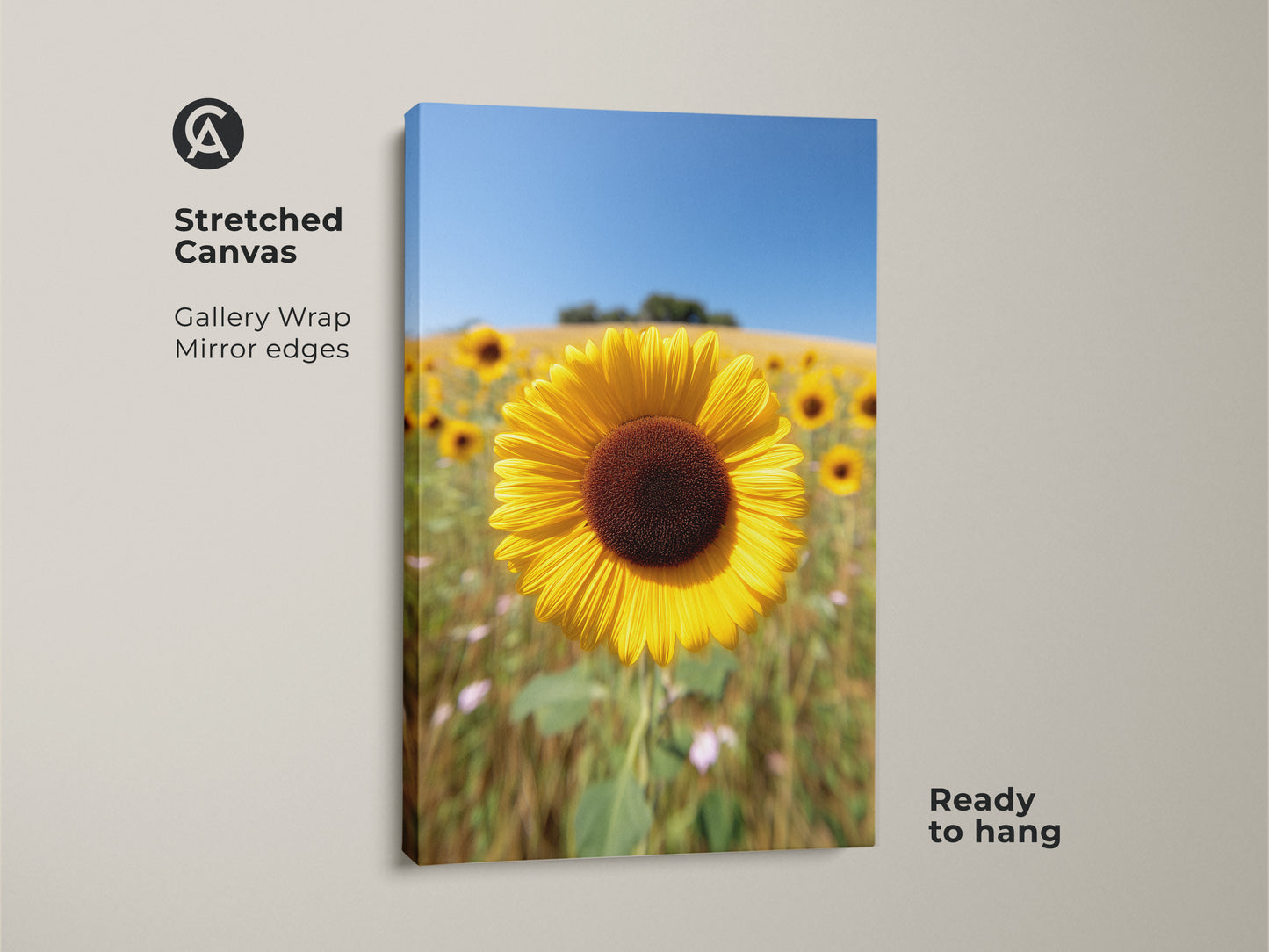 A stretched canvas of a sunflower field art print is ready to hang. The gallery wrap with mirror edges enhances this yellow floral artwork. It features a realistic summer landscape under a clear blue sky. Ideal farmhouse kitchen decor or a nature inspired wall art gift.
