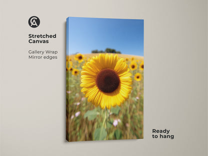 A stretched canvas of a sunflower field art print is ready to hang. The gallery wrap with mirror edges enhances this yellow floral artwork. It features a realistic summer landscape under a clear blue sky. Ideal farmhouse kitchen decor or a nature inspired wall art gift.