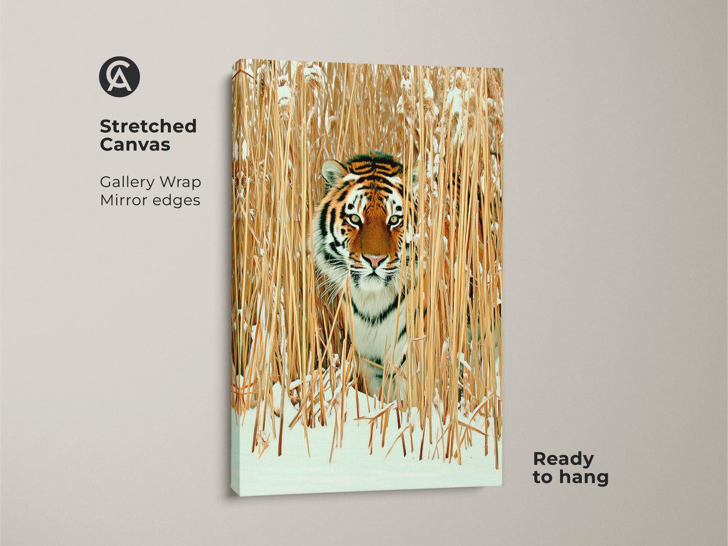 A Stretched Canvas featuring tiger in winter reeds. Gallery wrap with mirror edges enhances realistic wildlife art. Ready to hang rustic nature photography art in orange brown and gold tones. Ideal as winter decor or gift for tiger lovers.