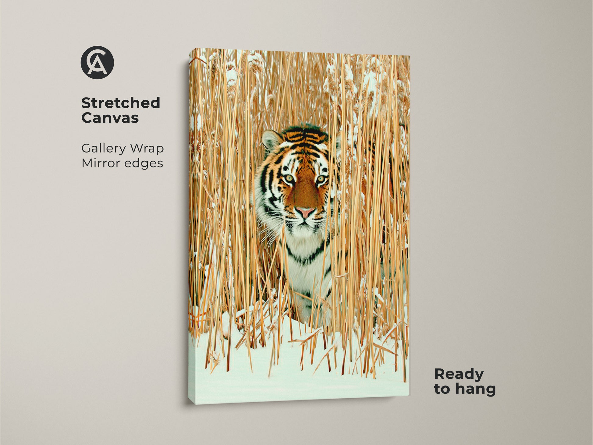 A Stretched Canvas featuring tiger in winter reeds. Gallery wrap with mirror edges enhances realistic wildlife art. Ready to hang rustic nature photography art in orange brown and gold tones. Ideal as winter decor or gift for tiger lovers.