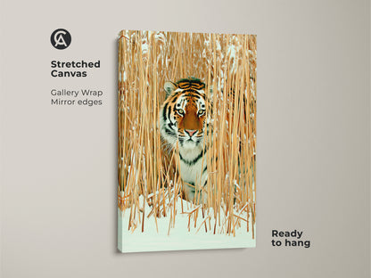 A Stretched Canvas featuring tiger in winter reeds. Gallery wrap with mirror edges enhances realistic wildlife art. Ready to hang rustic nature photography art in orange brown and gold tones. Ideal as winter decor or gift for tiger lovers.