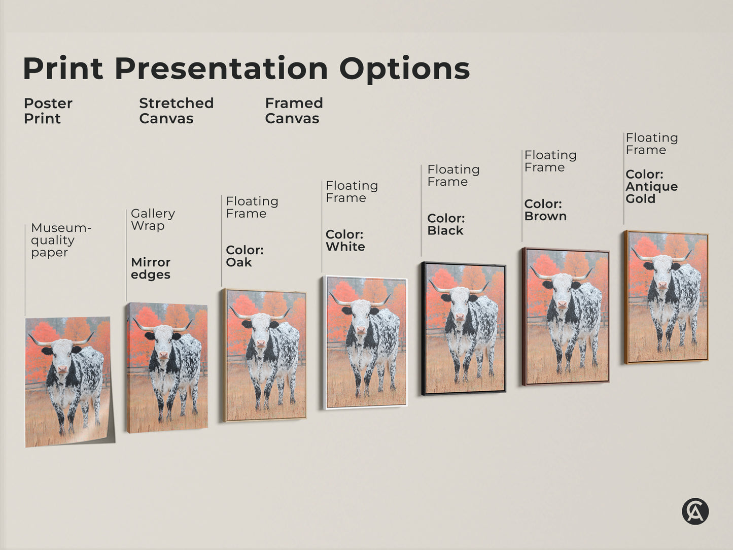 See print presentation options for Longhorn Cow art. Choose from poster prints stretched canvas and framed canvas. Options include floating frames in various colors. Find the perfect piece today