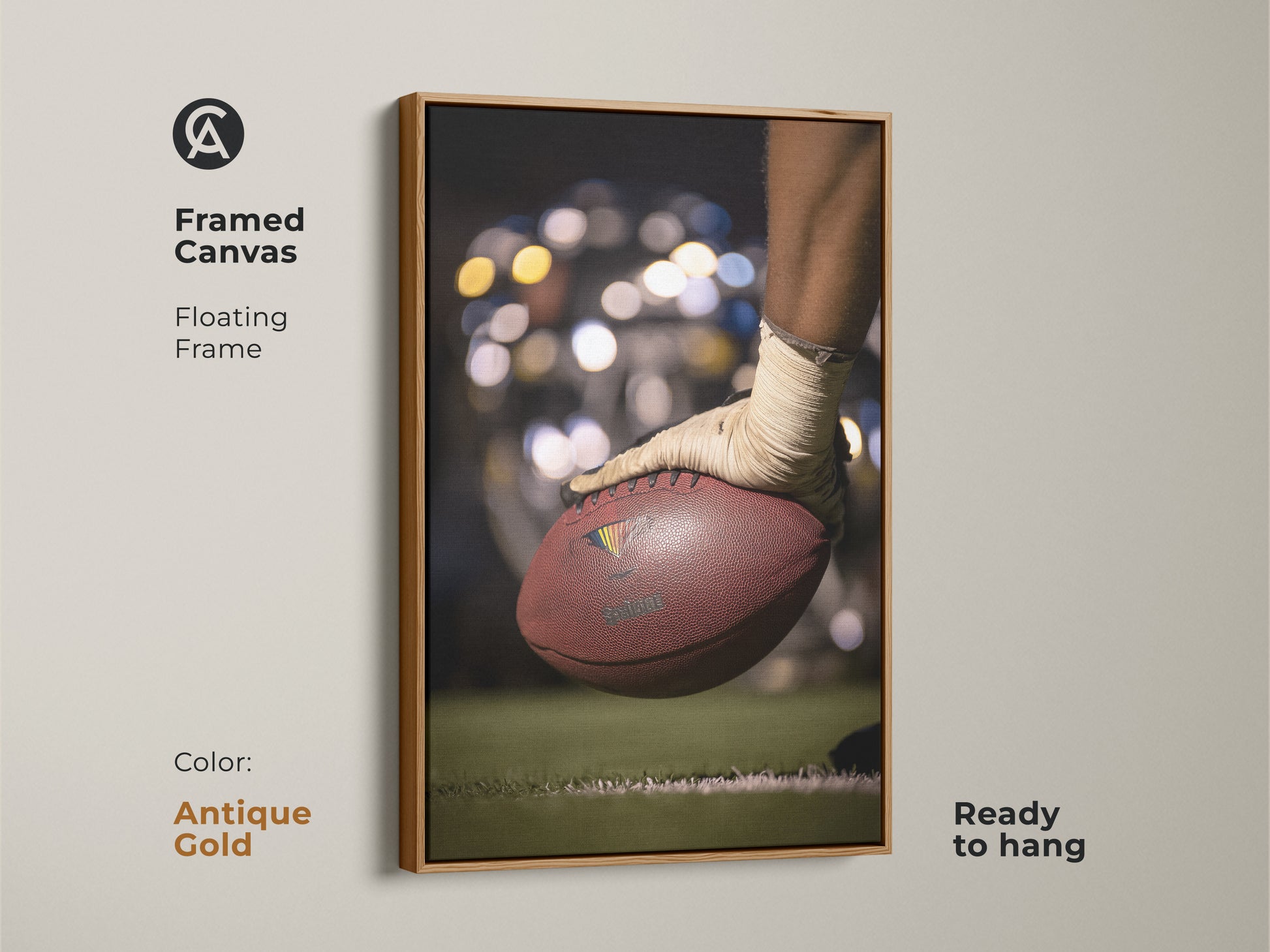 This framed canvas features a football action shot. The floating frame is finished in antique gold. It adds a touch of elegance to this sports artwork. The artwork is ready to hang for easy display. It is a great addition to a sports-themed room or office.