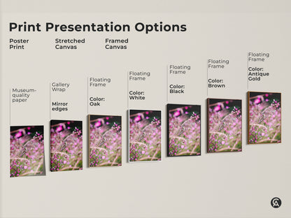 Print presentation options showcasing various formats. Choose from poster print stretched canvas or framed canvas. Each features the pink wildflower macro photo. Select a style that matches your home decor.