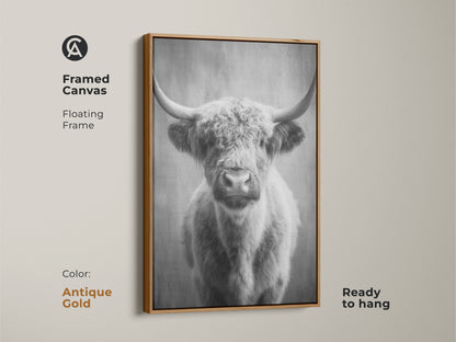 Antique gold framed canvas featuring a monochrome highland cow. The floating frame accentuates the rustic animal artwork. Ready to hang this Scottish cattle canvas art is perfect for entryway wall decor. A neutral wall art piece.