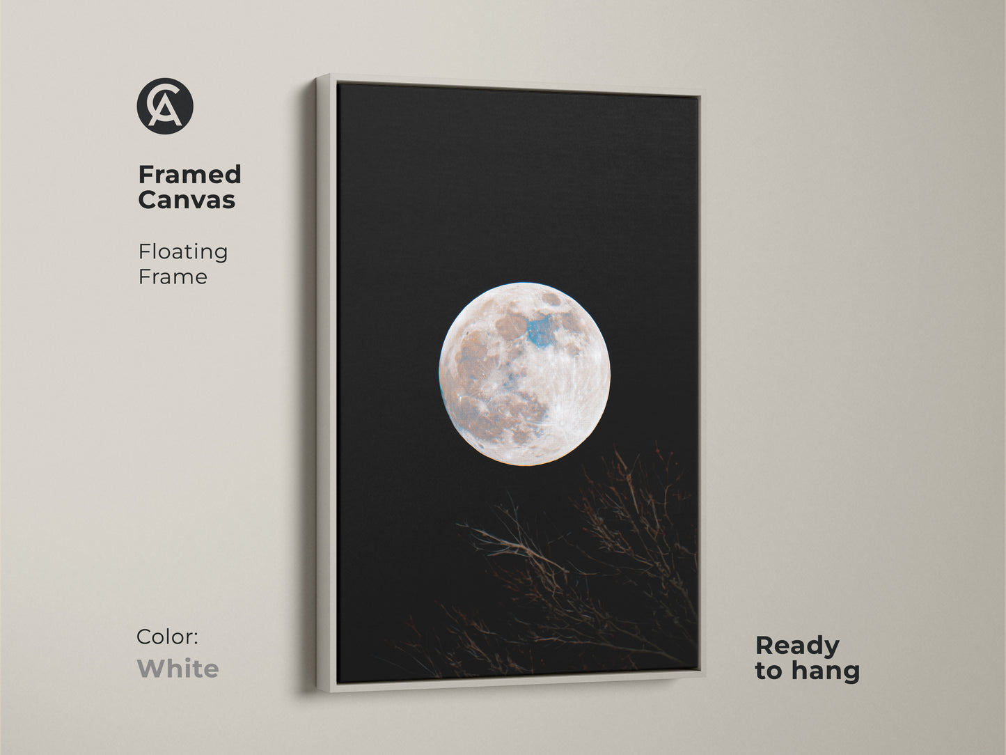 Framed moon canvas artwork with a white floating frame. This wall art features a full moon against a black sky. Branches are silhouetted at the bottom. The art is ready to hang. Shop white framed moon art.
