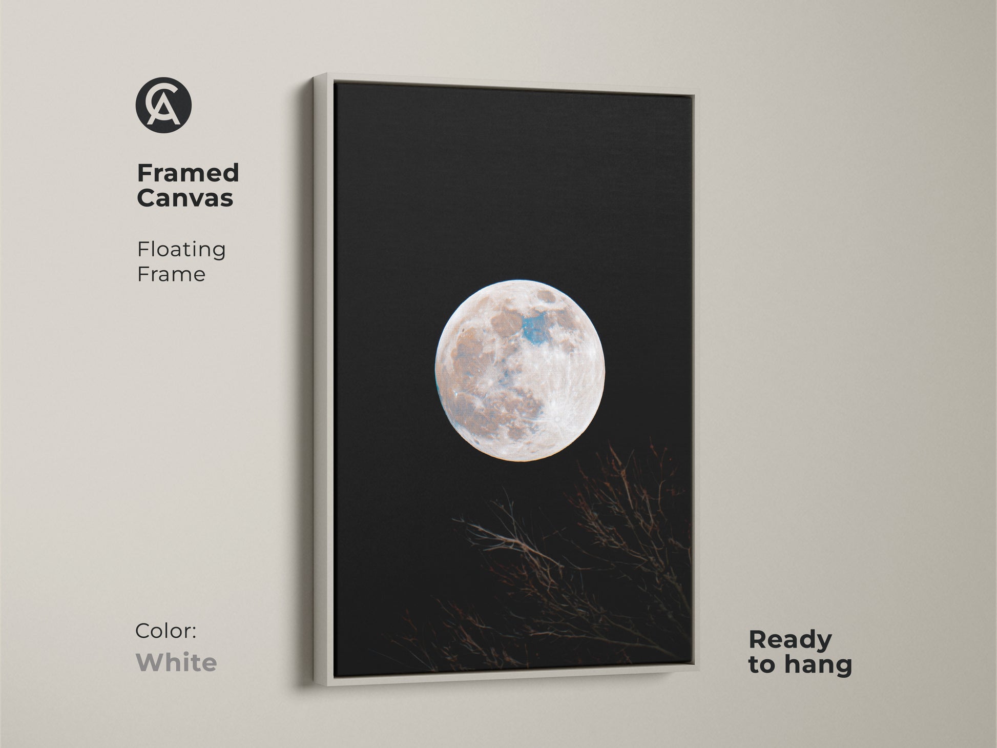 Framed moon canvas artwork with a white floating frame. This wall art features a full moon against a black sky. Branches are silhouetted at the bottom. The art is ready to hang. Shop white framed moon art.