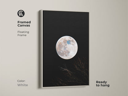 Framed moon canvas artwork with a white floating frame. This wall art features a full moon against a black sky. Branches are silhouetted at the bottom. The art is ready to hang. Shop white framed moon art.