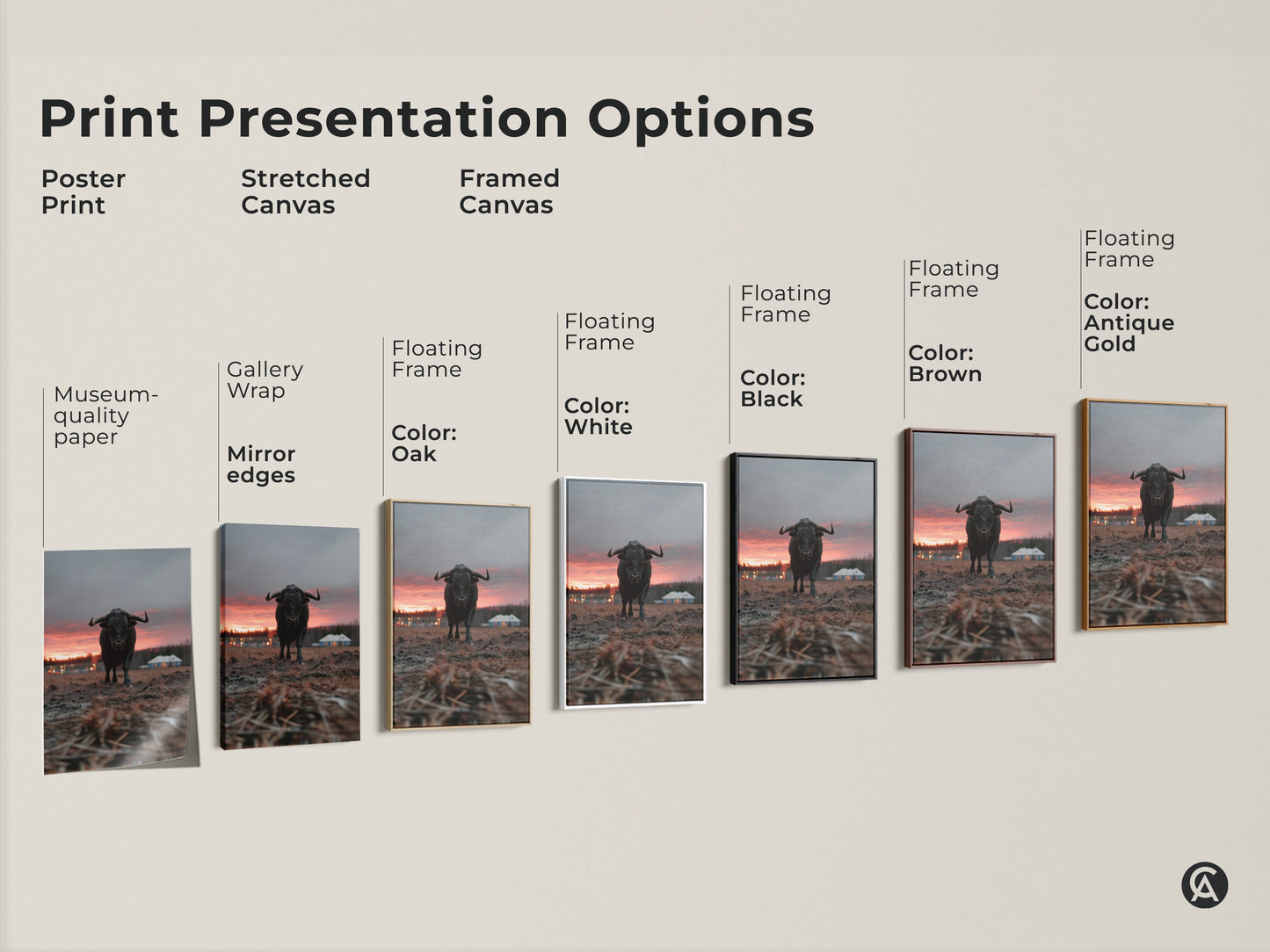 Print presentation options showcasing bull canvas art. See poster prints stretched canvas and framed canvas. Multiple floating frame color options available. This rustic farmhouse wall decor is a great housewarming gift.