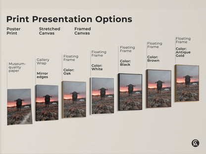 Print presentation options showcasing bull canvas art. See poster prints stretched canvas and framed canvas. Multiple floating frame color options available. This rustic farmhouse wall decor is a great housewarming gift.
