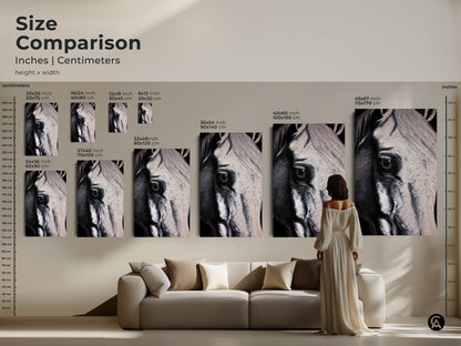 Size comparison of monochrome horse art prints in inches and centimeters. This black and white animal wall decor adds a modern touch to any living room. Visualize the art with a person and furniture for scale. This is a great focal point.