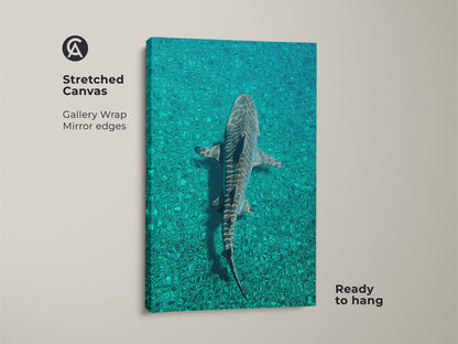 Stretched canvas print of a tiger shark in teal ocean water. Gallery wrapped with mirrored edges. The coastal teal blue decor is ready to hang. This marine wildlife print brings an underwater ocean wall art feel to your home.