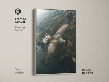 Framed canvas print featuring an eagle soaring over a forest with a white floating frame. This wildlife wall art brings a fresh natural feel to your space. The earthy tones and deep teal colors create a serene and rustic atmosphere. Ideal for nature enthusiasts.