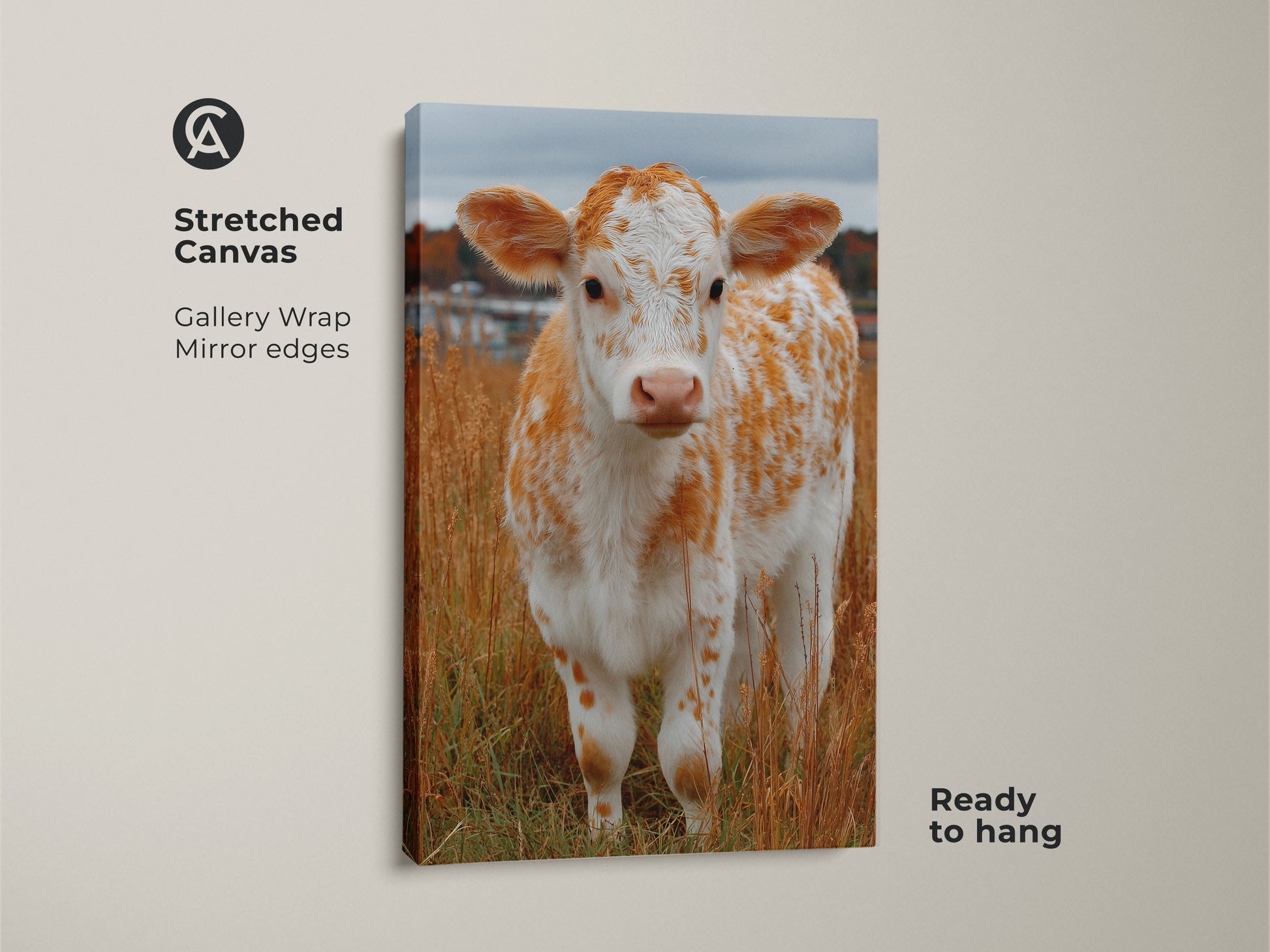 Stretched canvas art of a calf standing in a field. This gallery wrapped canvas is ready to hang. The canvas edges have a mirrored effect. It is a cute animal art print for kids. The calf is white with orange spots. Purchase this stretched canvas art today.