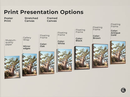 Print Presentation Options for Baobab Tree Wall Art. Choose from poster print stretched canvas or framed canvas. Options include gallery wrap floating frame and various frame colors. Find the perfect desert landscape canvas print.
