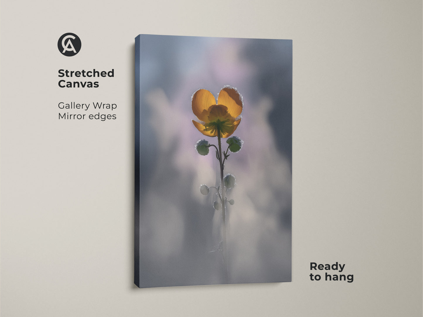 Stretched canvas print of a yellow buttercup. Gallery wrapped with mirrored edges this macro flower art is ready to hang. A soft focus botanical canvas perfect for boho bedroom decor. This nature decor makes a great housewarming gift.