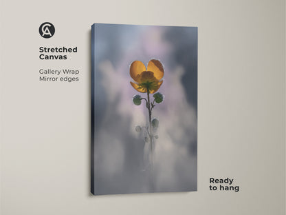 Stretched canvas print of a yellow buttercup. Gallery wrapped with mirrored edges this macro flower art is ready to hang. A soft focus botanical canvas perfect for boho bedroom decor. This nature decor makes a great housewarming gift.