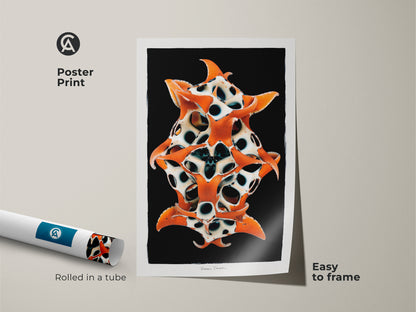 Poster print featuring surreal organic sculpture. The orange black and white abstract forms are captivating. It arrives rolled in a tube. Making it an easy to frame contemporary starfish wall art.