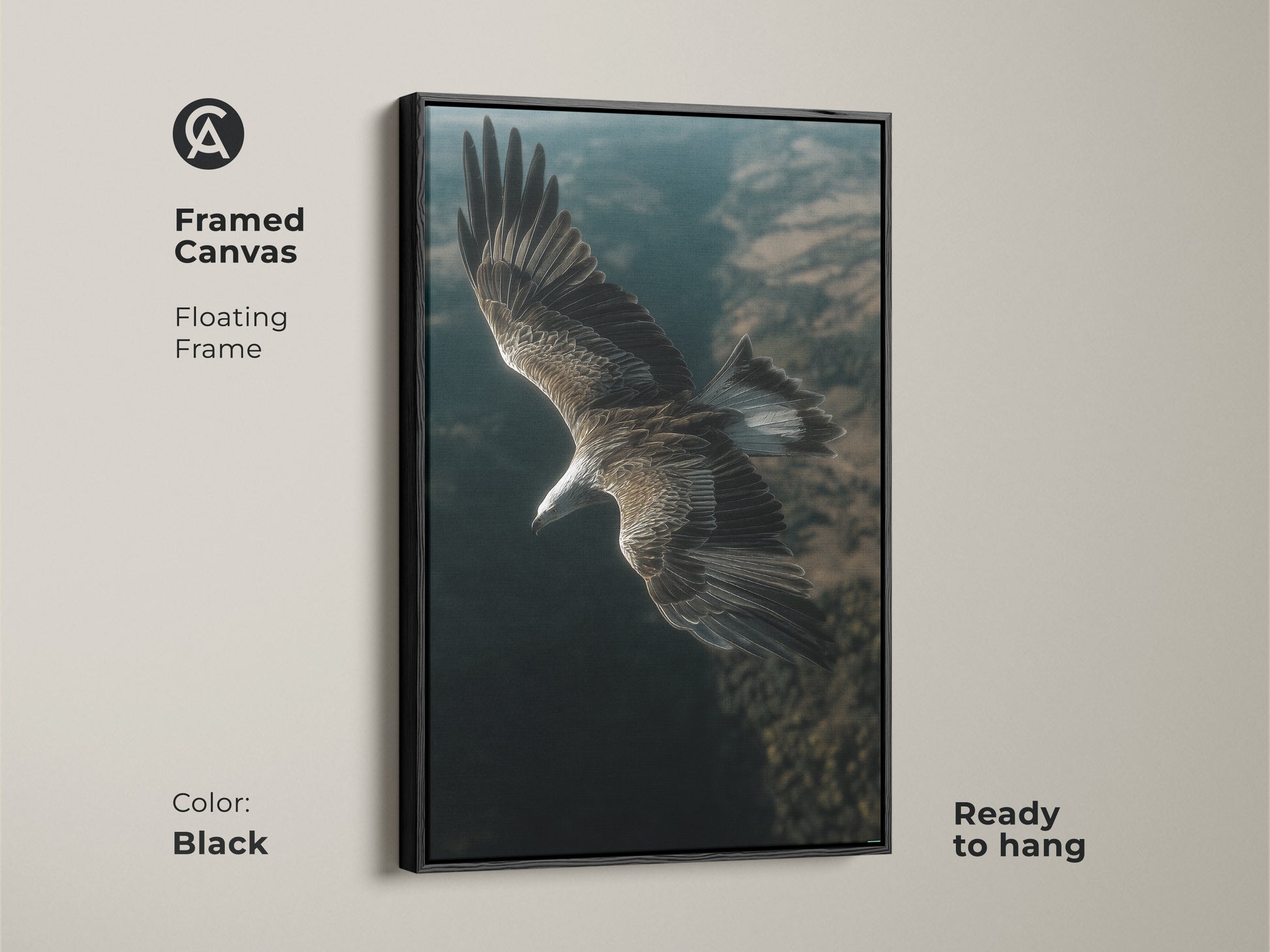 Framed canvas artwork of an eagle in flight. Black floating frame adds sophistication. Ready to hang in any room. This realistic bird of prey print is perfect nature wall decor. A great raptor in flight canvas for wildlife art lovers.