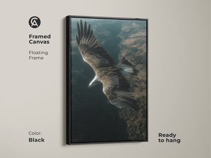 Framed canvas artwork of an eagle in flight. Black floating frame adds sophistication. Ready to hang in any room. This realistic bird of prey print is perfect nature wall decor. A great raptor in flight canvas for wildlife art lovers.