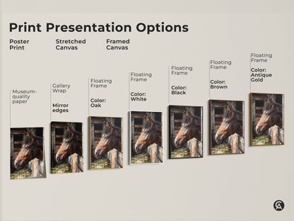 Explore diverse print options for horse artwork. Choose from poster prints stretched canvas and framed canvas. Find the perfect style and frame color to match your decor.