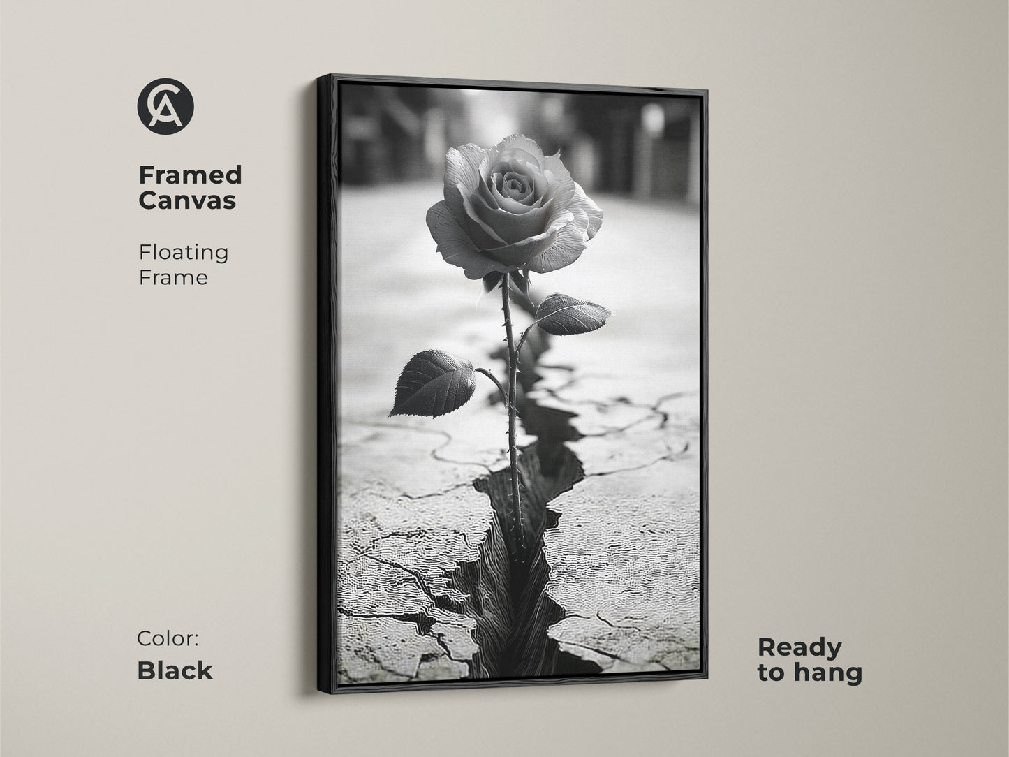 Framed canvas art featuring a monochrome rose with a floating frame. A single rose emerges from cracked ground. The black frame enhances the symbolic nature print. This black and white rose art symbolizes resilience. Ready to hang. A contemporary piece perfect for bedroom decor.