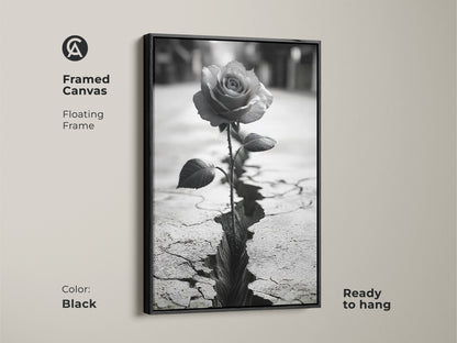 Framed canvas art featuring a monochrome rose with a floating frame. A single rose emerges from cracked ground. The black frame enhances the symbolic nature print. This black and white rose art symbolizes resilience. Ready to hang. A contemporary piece perfect for bedroom decor.