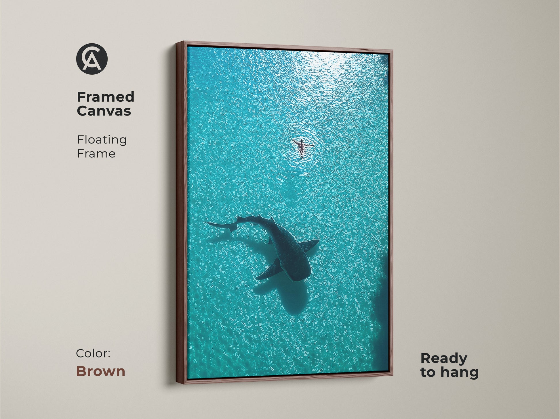 Framed Canvas with a brown floating frame showcasing an aerial view of a whale shark and swimmer. This coastal wildlife artwork is ready to hang. It brings a serene ocean scene to any room. Ideal for ocean adventure wall art.