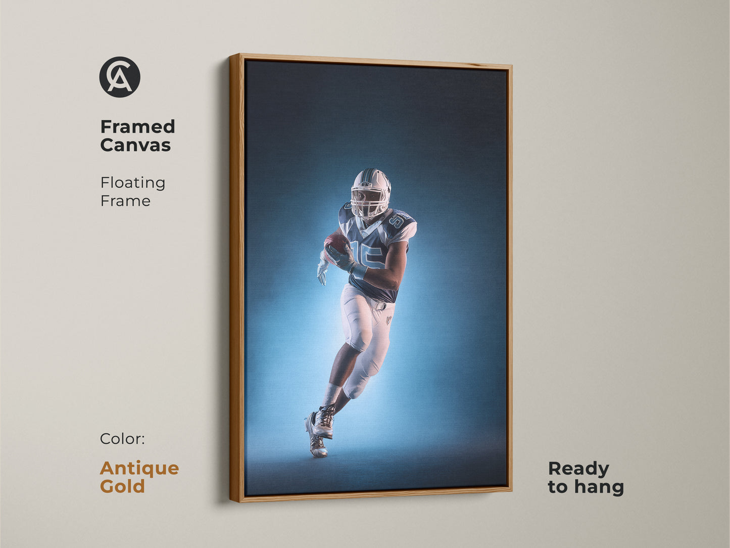 A framed canvas with floating frame features an American Football player. The contemporary teal and white sports artwork is ready to hang. The antique gold frame adds a modern athletic vibe. It's a fantastic gift for sports fans.