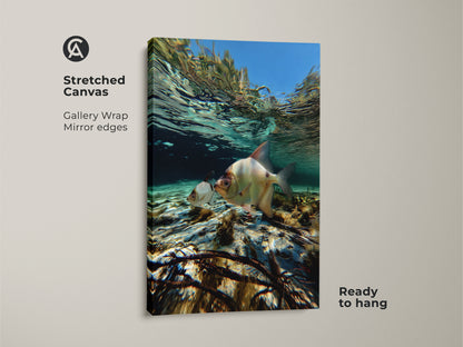 Stretched canvas gallery wrap of underwater fish. Mirror edges showcase blue teal aquatic artwork. Ready to hang coastal ocean canvas print. Features two fish swimming in turquoise water. Ideal for bedroom ocean decor.